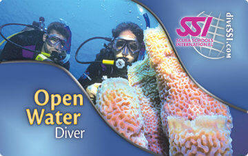 open-water-diver-ssi
