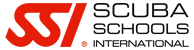 SSI_LOGO