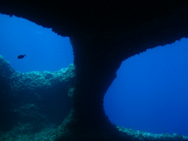 inmersion cagaires isla aire