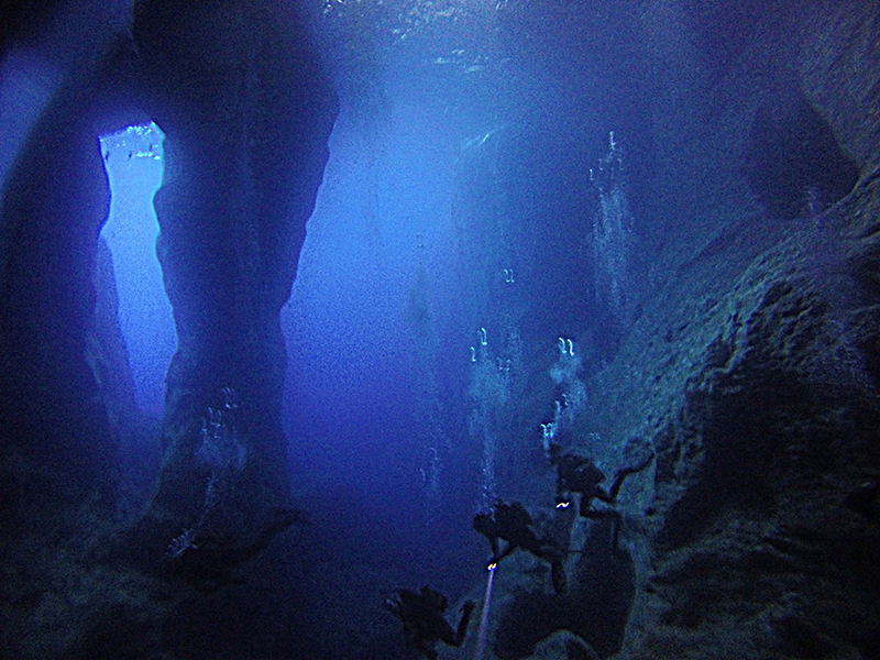 cove del anglesos