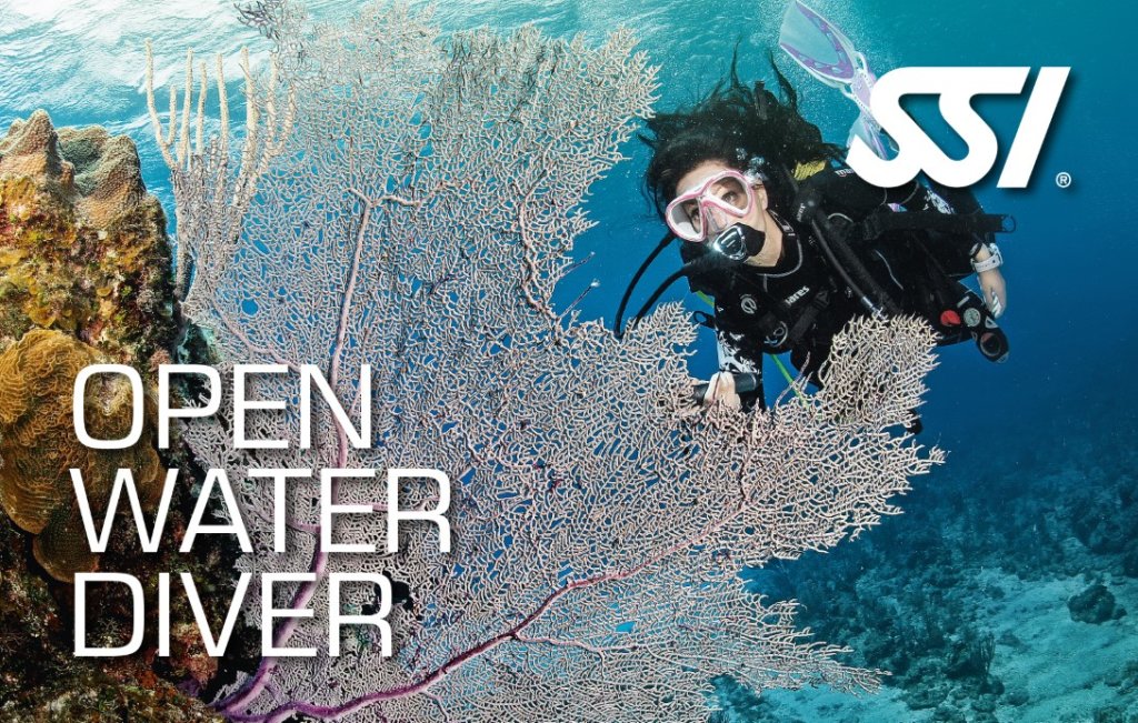 Curso Open Water Menorca