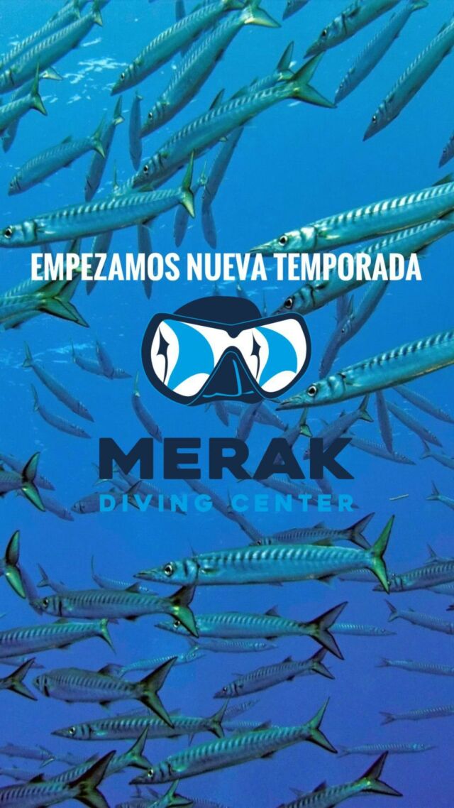 Ya está aquí la temporada de verano !! Ven a bucear con nosotros/as y descubre el increíble azul de Menorca !!

🔹 Inmersiones 
🔹 Iniciación 
🔹Cursos de buceo SSI
🔹cursos SSI PRO

Te esperamos!!!
👉🏽Más info en nuestra bio 
📍Puerto de #mahon #maó 

#buceomenorca #menorcadiving #scubadiving #menorca #scubadivers #scubalife #divessi #ssidiving #buceorecreativo