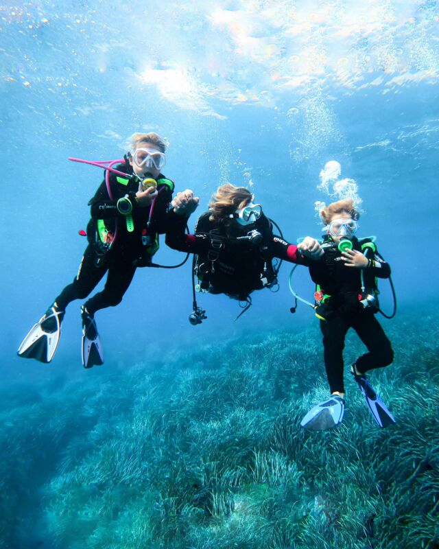 Este verano tienes plan de buceo en Menorca con Merak Diving ☀️🌊

Tanto si quieres bucear en familia, tener una cita debajo del agua con tu pareja, pasarlo en grande sumergiéndote con tus amigos o te gusta aventurarte  solo/a, tu plan perfecto es bucear con nosotros @merakdiving 

¿Te vienes ?