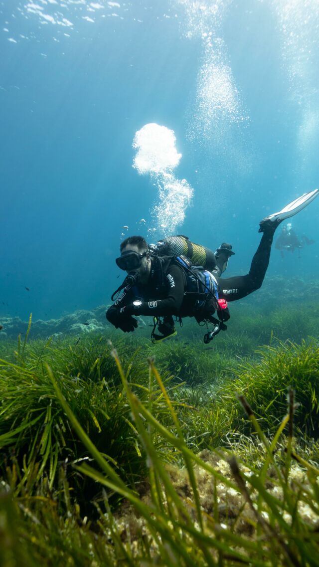 Buceo en Menorca, paraíso de aguas cristalinas, cavernas y campos de poseidonia.

🎥 @fonsidiventures 
🤿#diveinstructor @martinezsotoguillermo 

#menorca #buceoenmenorca #menorcadiving #scubadiving #ssi #ssiinternational #maresjustaddwater #scubadiving