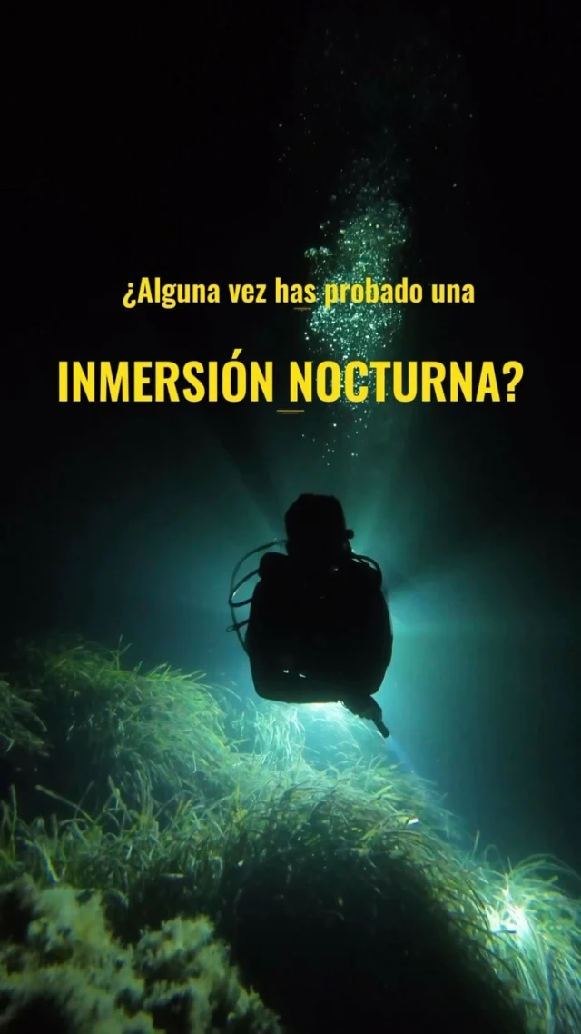 ¿Alguna vez has probado una inmersión nocturna? 🌊🌙

Explorar el océano en la oscuridad revela un mundo fascinante, lleno de criaturas y momentos mágicos. Cada inmersión nocturna es una experiencia única e imprescindible para los amantes del buceo. 🌌✨

¿Con quién te vendrías ?
📹 @fonsidiventures 
#BuceoNocturno #VidaMarina #AventuraSubmarina #ssi #OceanLovers #iamssi #mares