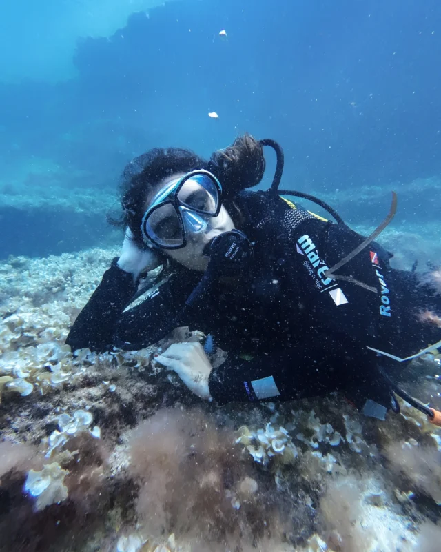 Sueñas con una escapada en septiembre ? No sueñes más y vente a bucear a Menorca 

 👉🏽Te esperamos en el puerto de #mahón #menorca

#scubadiving #buceoenmenorca #buceobaleares #visitmenorca #turismomenorca #buceoespaña #maresjustaddwater #iamssi #ssilife