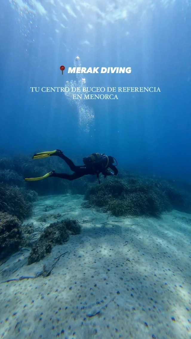 Tu centro de buceo referente en MENORCA

¿Te vienes?

🎥 @fonsidiventures 

#menorca #buceomenorca #menorcadiving #scubadiving #divingmenorca #buceoespaña #scubalife #iamssi #maresjustaddwater #scubagram #visitmenorca